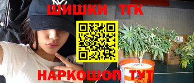 СК Будённовск
