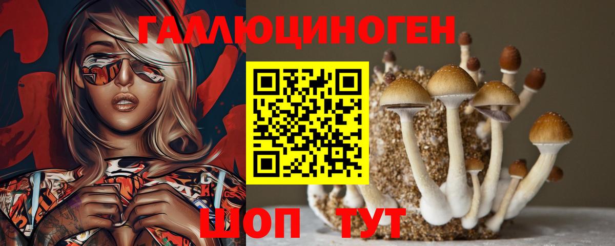 Тайшет  Галлюциногенные грибы Cubensis  наркотики  Вход с VPN  Псилоцибиновые грибы Magic Shrooms 