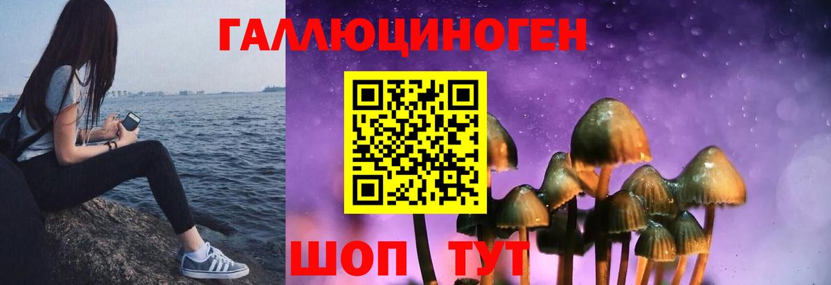 Псилоцибиновые грибы прущие грибы Тайшет